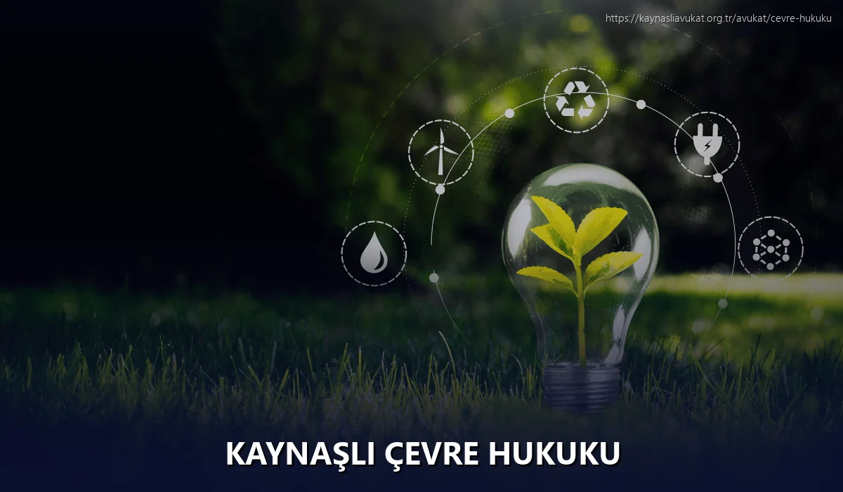 Kaynaşlı Çevre Hukuku